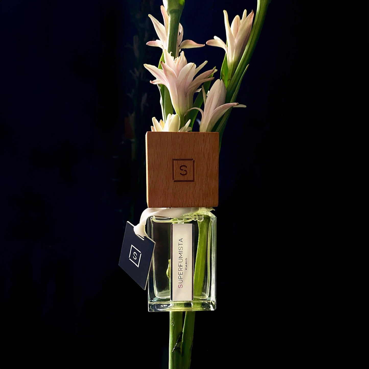 TUBEROTIC